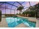 Screened in backyard oasis with a pool, hot tub, and string lights overlooking the water at 1893 Riveredge Dr, Tarpon Springs, FL 34689