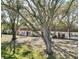 Exterior view of a white, single-story home partially shaded by mature trees and lawn at 3124 Highlands Blvd, Palm Harbor, FL 34684