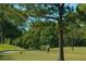 Picture of a golfer teeing off on a lush green golf course; the surrounding natural beauty enhances this active community at 3124 Highlands Blvd, Palm Harbor, FL 34684