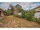 Residential backyard with sparse grass at 3201 Belmore Rd, Tampa, FL 33618