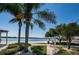 Sandy lakeside walkway lined with palm trees at 3201 Belmore Rd, Tampa, FL 33618