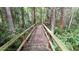 Nature boardwalk winding through a lush forest at 3406 Waterbridge Dr, Tampa, FL 33618