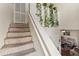 Carpeted staircase with plants on the landing at 3406 Waterbridge Dr, Tampa, FL 33618