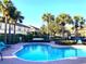 Community pool with lounge chairs and palm trees at 3863 Island Way, St Petersburg, FL 33705