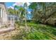 Spacious backyard with lush grass, palm trees, and screened-in pool at 4325 Swift Cir, Valrico, FL 33596