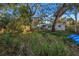 Large backyard with mature oak trees and a partially fenced area at 6327 Emerson S Ave, St Petersburg, FL 33707