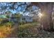 Spacious backyard with mature oak trees providing shade and privacy at 6327 Emerson S Ave, St Petersburg, FL 33707