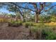 Large backyard with mature oak trees, grasses, and a wooden fence at 6327 Emerson S Ave, St Petersburg, FL 33707