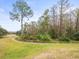 Landscaped backyard with lush trees and open space at 7436 Baltusrol Dr, New Port Richey, FL 34654