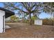 Backyard with shed and large oak tree at 11119 N 21St St, Tampa, FL 33612