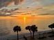 Sunrise over the ocean with birds in flight at 16330 Gulf Blvd # 306, Redington Beach, FL 33708