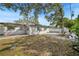 Backyard view of home with large tree and patio at 1720 Hampton Ln, Clearwater, FL 33756