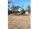 Vacant lot with mature trees and a small shed at 3385 Spring Park Way, Brooksville, FL 34604