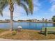 Scenic view of Lake Haku with a bench and palm trees at 4316 Tahitian Gardens Cir # H, Holiday, FL 34691