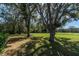 Large backyard with mature trees and open space at 4996 Felecity Way, Palm Harbor, FL 34685