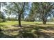 Large grassy backyard with mature trees at 4996 Felecity Way, Palm Harbor, FL 34685