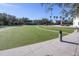 Artificial turf area in community park at 6003 Tealside Ct, Lithia, FL 33547