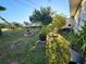 Spacious backyard with lush landscaping and potted plants at 6190 107Th N Ave, Pinellas Park, FL 33782