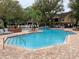 Community pool with lounge chairs and a spa at 8609 Mallard Reserve Dr # 103, Tampa, FL 33614