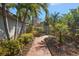 Brick pathway leads through a lush, tropical landscape at 887 S Gulfview Blvd, Clearwater Beach, FL 33767