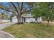 Charming single-story home with vibrant blue door and well-maintained landscaping at 1399 Grapeleaf Ct, Tarpon Springs, FL 34689