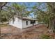 White house exterior with brown trim, surrounded by mature trees and a spacious backyard at 1399 Grapeleaf Ct, Tarpon Springs, FL 34689