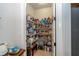 Walk-in pantry with ample shelving for organized storage of food and household items at 4748 Ballast Crest Cv, Land O Lakes, FL 34638