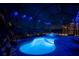 Screened-in pool with nighttime lighting, features a spa and landscaping at 4748 Ballast Crest Cv, Land O Lakes, FL 34638