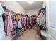 Large walk-in closet with clothing racks and shelves at 4748 Ballast Crest Cv, Land O Lakes, FL 34638