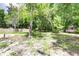 Large backyard with mature trees and a wooden fence at 13017 Manatee Ave, New Port Richey, FL 34654