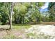 Wooded backyard with a modern fence, providing privacy at 13017 Manatee Ave, New Port Richey, FL 34654