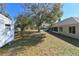 Backyard view, large tree, and shed at 3522 E 26Th Ave, Tampa, FL 33605