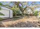 Spacious backyard with shed and large shade tree at 4711 Olive Dr, Zephyrhills, FL 33542