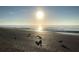 Sunlit beach view with seagulls enjoying the morning, highlighting the coastal lifestyle at 100 Bluff View Dr # 401A, Belleair Bluffs, FL 33770