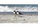 Seagulls stand near the crashing ocean waves at this sandy beach destination at 100 Bluff View Dr # 401A, Belleair Bluffs, FL 33770