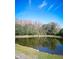 Scenic view of a tranquil pond surrounded by lush greenery, offering a peaceful setting at 10217 Westpark Preserve Blvd, Tampa, FL 33625