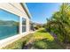 Landscaped backyard with lush grass and tropical plants at 14015 Kingfisher Glen Dr, Lithia, FL 33547