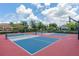 Outdoor pickleball and basketball courts at 14015 Kingfisher Glen Dr, Lithia, FL 33547