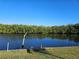 Scenic waterfront view with lush mangrove shoreline and calm waters under a clear blue sky at 1984 Arvis E Cir, Clearwater, FL 33764