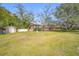 Large backyard with spacious lawn and detached storage building at 3704 Berger Rd, Lutz, FL 33548