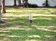 Designated dog walk area in a grassy, tree-lined space at 5265 E Bay Dr # 410, Clearwater, FL 33764