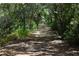 Scenic walking path through lush greenery at 6315 Shoreline Dr # 3208, St Petersburg, FL 33708