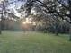 Sunset view over grassy area with tall trees and Spanish moss at 8349 41St N Ave, St Petersburg, FL 33709