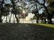 Scenic waterfront view from a park-like setting at sunset at 8349 41St N Ave, St Petersburg, FL 33709