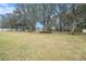 Expansive backyard with mature trees and open space at 10442 Bloomfield Hills Dr, Seffner, FL 33584