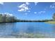 Scenic view of a tranquil pond surrounded by lush trees under a bright blue sky with scattered clouds at 13908 Orange Dale Pl, Tampa, FL 33625