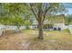 Large backyard with mature trees and privacy fence at 14003 Fareham Rd, Odessa, FL 33556