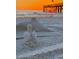 Sand sculptures of a pelican and dolphin at sunset at 16317 Gulf Blvd, Redington Beach, FL 33708