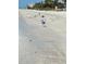 running on beach near ocean with birds at 16317 Gulf Blvd, Redington Beach, FL 33708