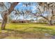 Large backyard with a sprawling oak tree and a partial view of the house at 1702 S Miller Rd, Valrico, FL 33594